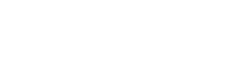 The Marchanta N.Y.C.